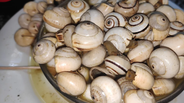 Tapa de caracoles servida en el bar Daro