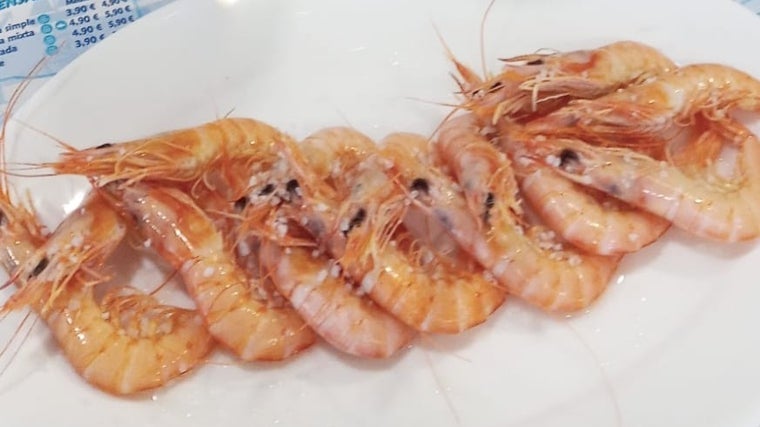 Plato de gambas servido en el Bar Juanito Coronel