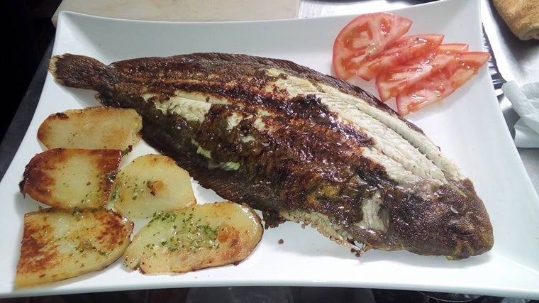 Plato de lenguado a la plancha servido en la Marisquería La Colita