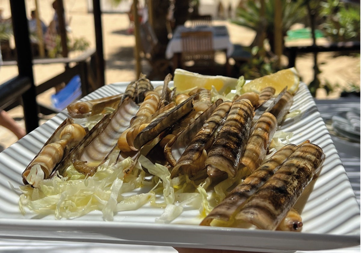 Plato de navajas servido en el Restaurante Casa Diego, que cuenta una de las mejores terrazas chill out de Huelva para tomar algo frente al mar