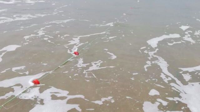 La playa de Isla Canela, minada de redes de furtivos