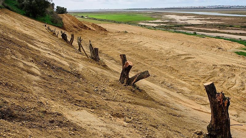 Ecologistas en acción denuncia desmontes y destrucción en los escarpes del Tinto en Moguer