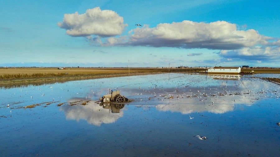 Tres onubenses premiados en el concurso fotográfico ‘Medio Rural y Pesquero en Andalucía 2020’