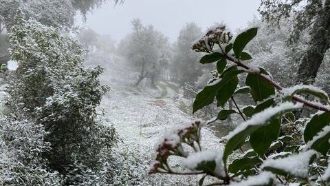 Huelva, entre las provincias en aviso amarillo por temperaturas mínimas
