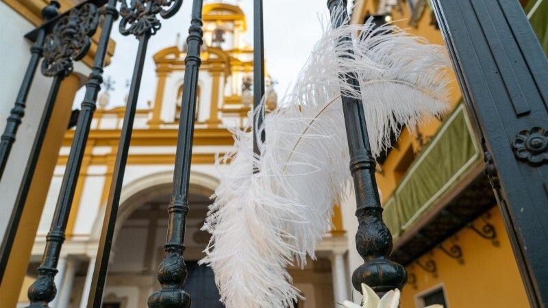 La Junta se reúne el miércoles con las hermandades y cofradías tras suspenderse las procesiones de Semana Santa en varias provincias