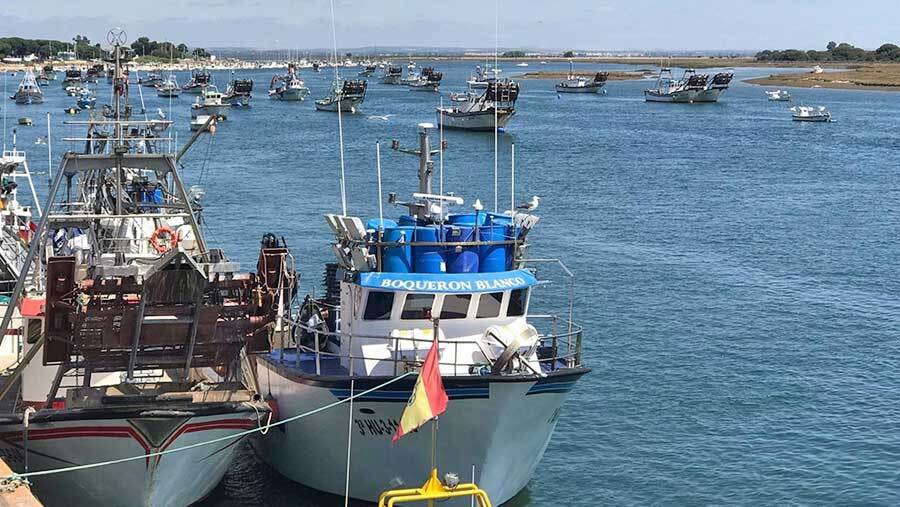 La flota artesanal pide más control de la pesca deportiva para evitar la competencia desleal