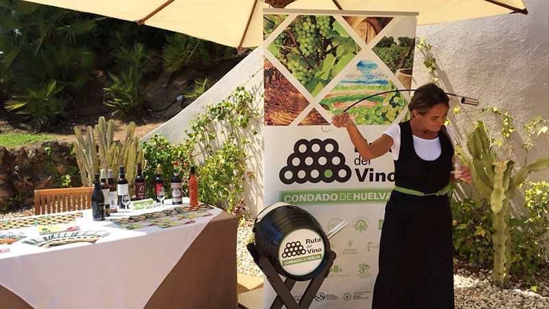 Diputación destina más de 100.000 euros al impulso del sector vitivinícola
