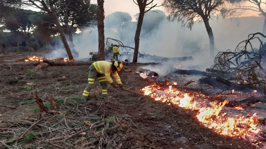 Estabilizado el incendio en el paraje Finca El Puntal de Almonte