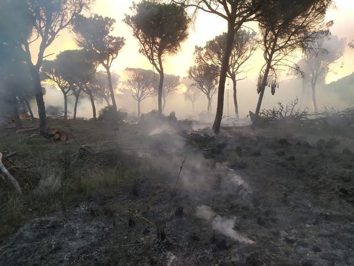 Estabilizado el incendio en el paraje Finca El Puntal de Almonte