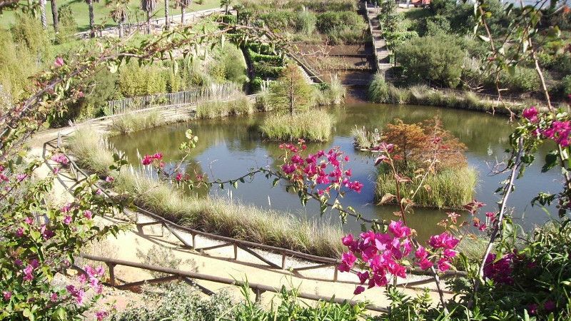 El parque Celestino Mutis recibió en 2021 un 45% de visitas más que antes de la pandemia