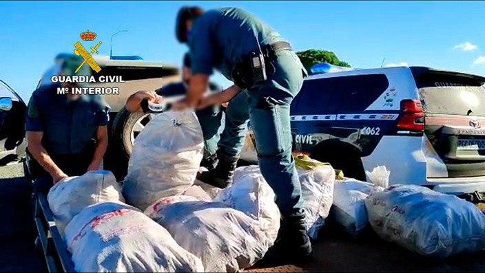 Más de 60 personas investigadas por la recolección de 17.000 kilos de piña de pino sin autorización