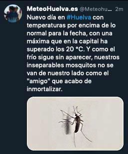 El runrún: La nueva zona ORA