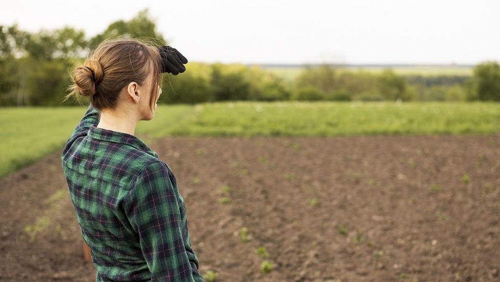 Ampliado el plazo de presentación a los premios a mujeres innovadoras en agricultura y jóvenes ganaderos de la provincia