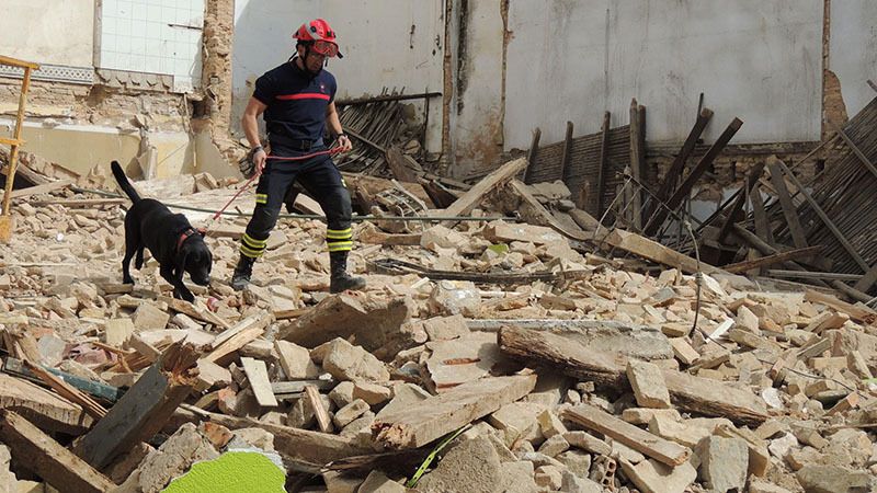 Exitoso simulacro de la Unidad Canina de Rescate