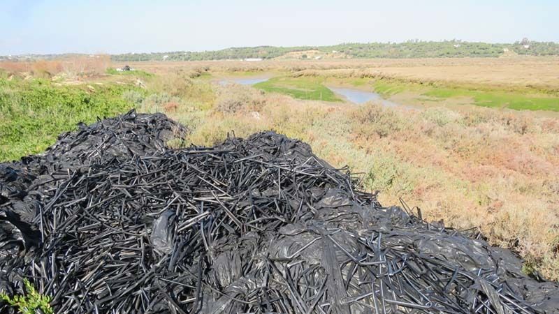 Denuncian la existencia de un vertedero ilegal de plásticos agricolas en el Paraje Natural Marismas de Isla Cristina
