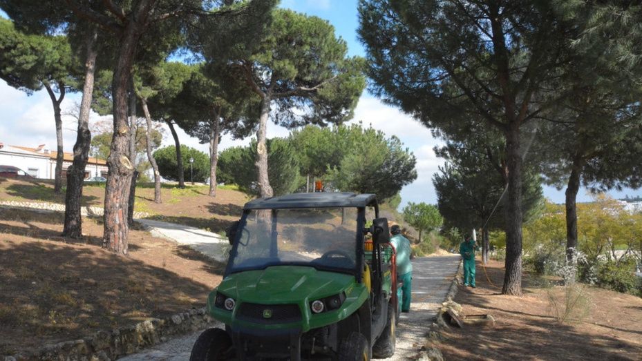 Palos prosigue con su campaña de poda y fumigación en el parque la Peña del Viento