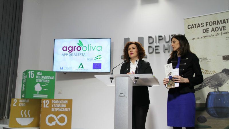 Cooperativas Agro-alimentarias organiza catas formativas de AOVE en Huelva, Gibraleón, San Juan y Aracena