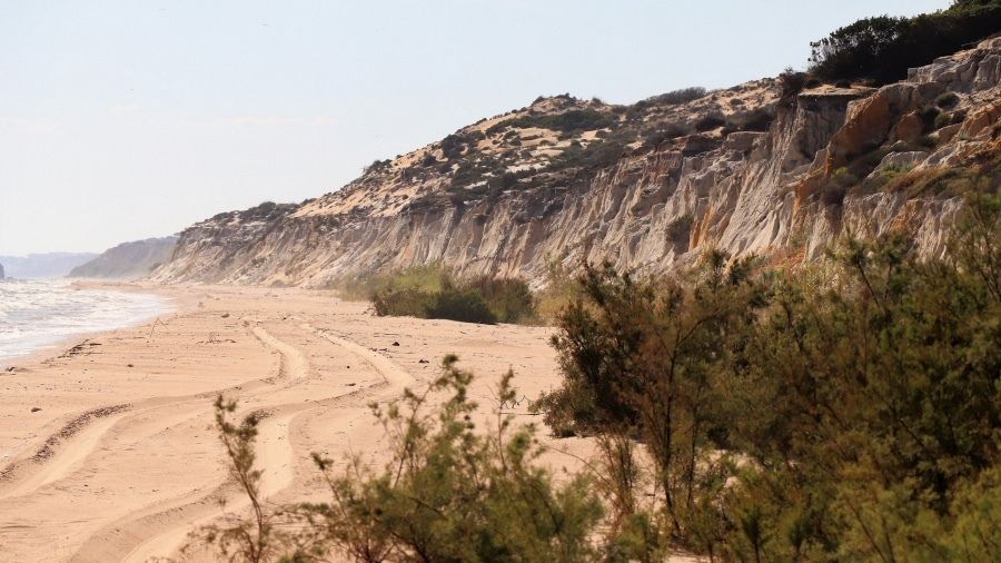 Doñana, entre los espacios naturales andaluces que verán mejorada su señalización