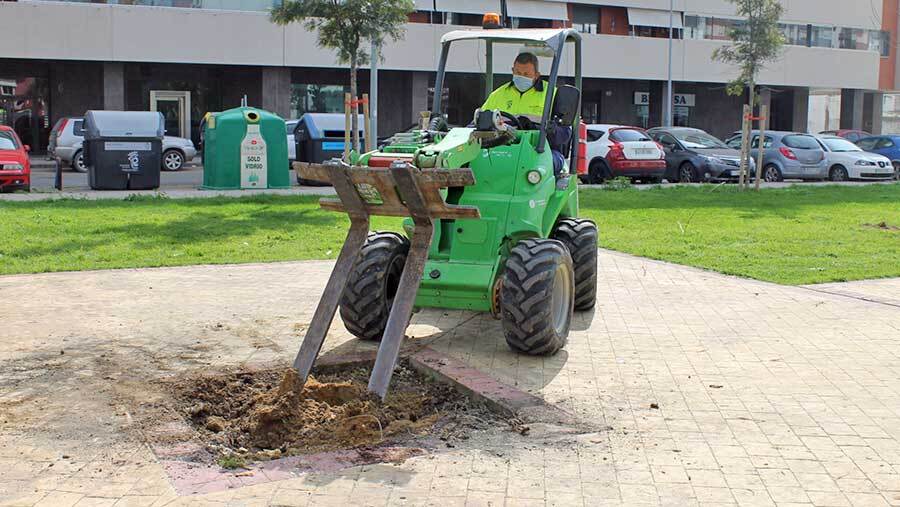 El Ayuntamiento prevé plantar 50 árboles antes del verano