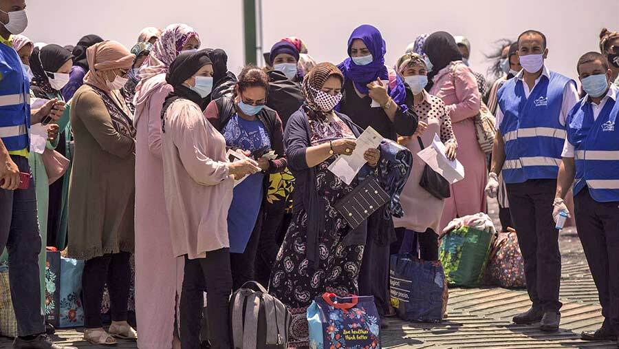 Más de 4.000 temporeras marroquíes están ya en la provincia para la campaña de la fresa y los frutos rojos