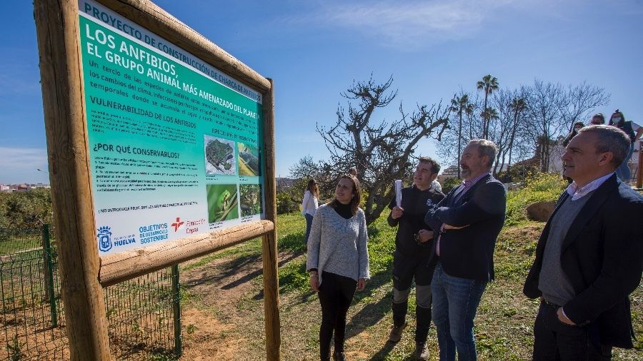 El Parque Moret cuenta con una nueva charca para anfibios
