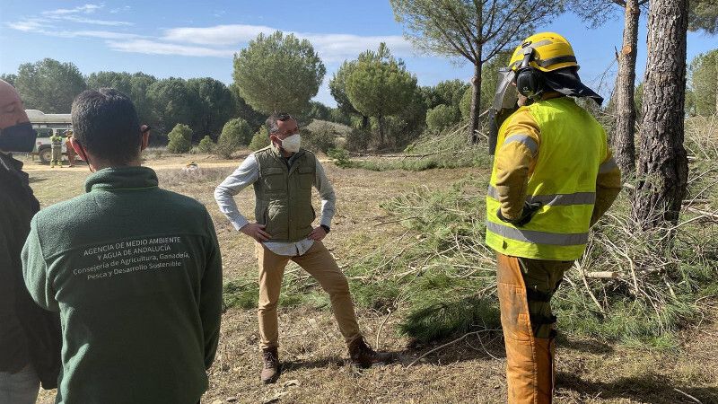 Infoca realiza labores preventivas contra incendios en más de mil hectáreas de la provincia