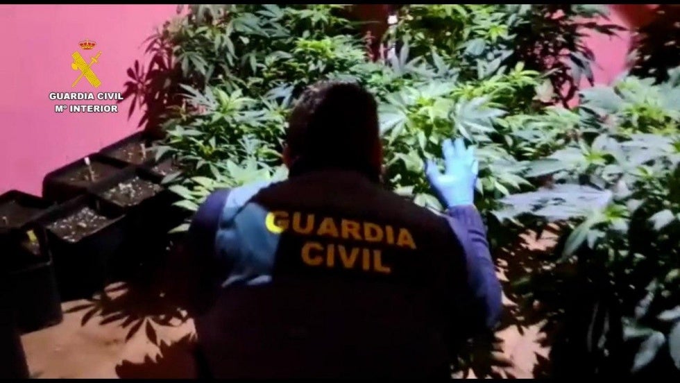 El club de alterne que trató de renacer como plantación de marihuana: la Guardia Civil interviene un local con 26 kilos de droga