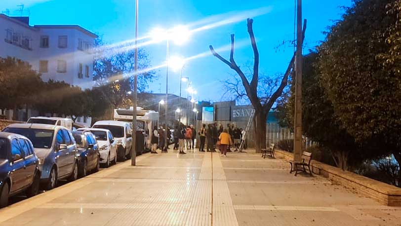 Los bomberos de la capital se movilizan para rescatar a una iguana oculta en un árbol