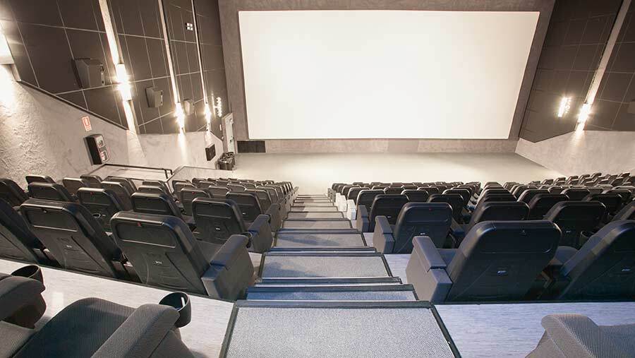 Buscan encargado para los cines de Holea