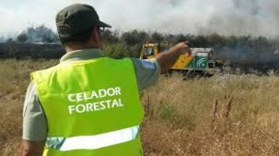 CSIF reclama que regularicen la situación de los celadores forestales y acaben con el vacío legal en que se encuentran