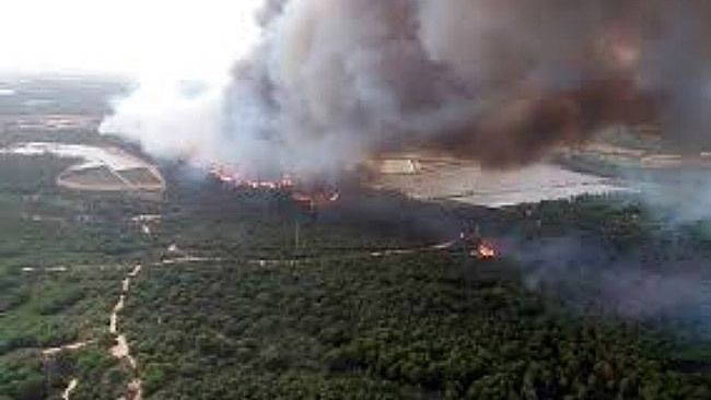 Ecologistas lamenta que la carbonería acusada del incendio de Doñana sea denunciada de nuevo