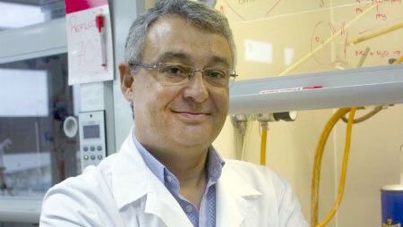 El profesor Pedro J. Pérez, nuevo miembro de la Academia de Ciencias, Artes y Letras de Huelva
