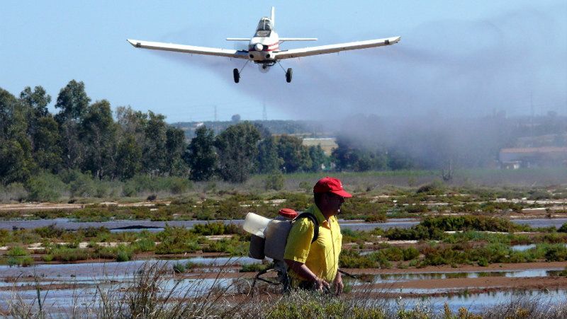 Arranca el Plan Operativo de Control de Mosquitos sobre 140.000 hectáreas