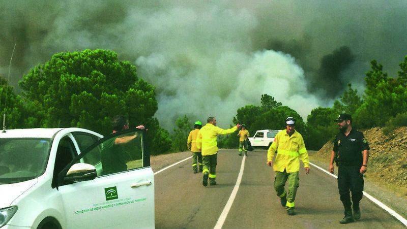 Esclarecido un incendio forestal que arrasó 120 hectáreas en agosto en un paraje de Moguer