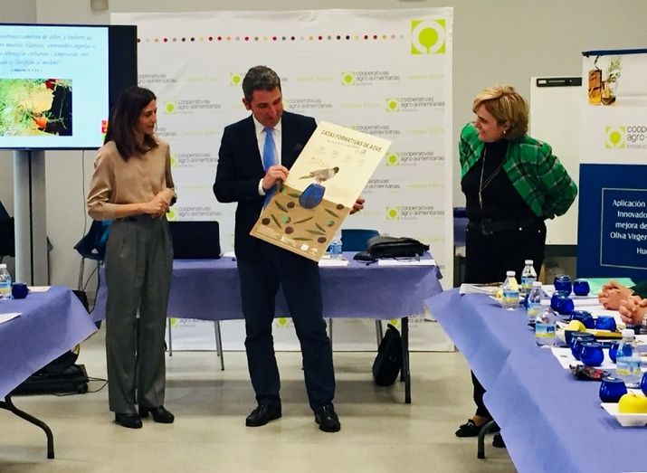 Cooperativas Agro-alimentarias forma a representantes de las principales almazaras de la provincia para lograr la excelencia del aceite onubense 