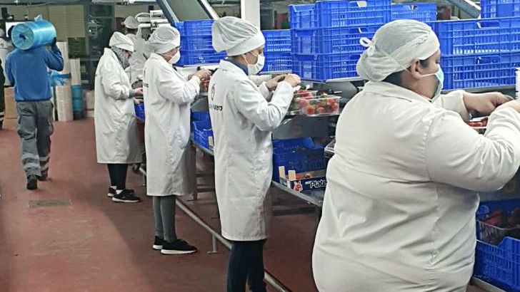 Las cooperativas onubenses destacan que continúan abasteciendo los mercados con seguridad