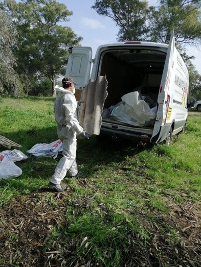 Proceden a la retirada de placas de amianto catalogadas como cancerígenas