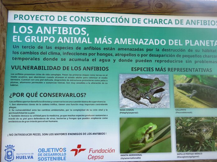 AxSí denuncia el estado de la charca de anfibios del Parque Moret