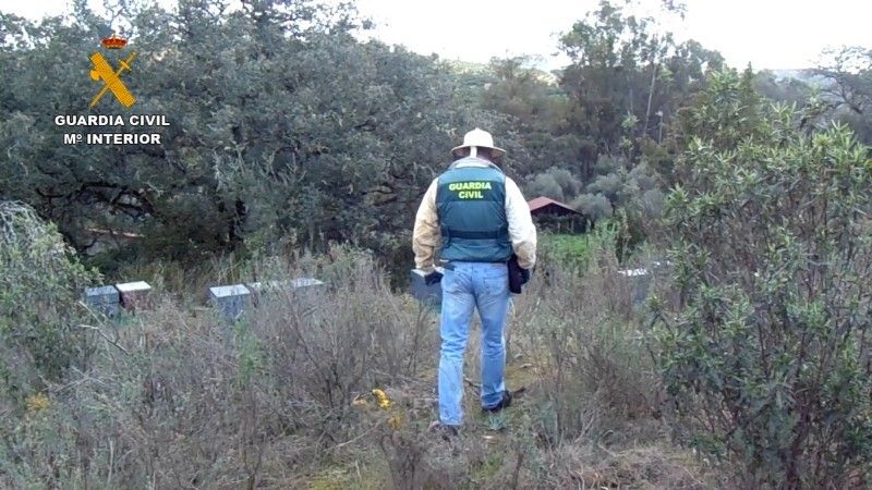 La Guardia Civil identifica al autor del robo de 50 colmenas de abejas