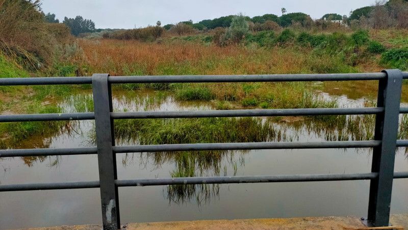 Admitida a trámite la reclamación de los vecinos de La Dehesa por el 'abandono' del arroyo del Chorrillo