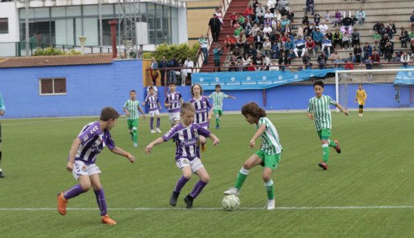El Betis, campeón benjamín de la Huelva Capital Gañafote Cup tras vencer al Valladolid