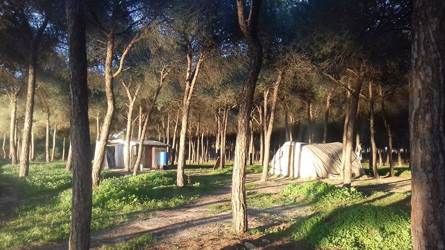 La Junta destina más de 1,1 millones para mejorar las condiciones de los asentamientos de inmigrantes
