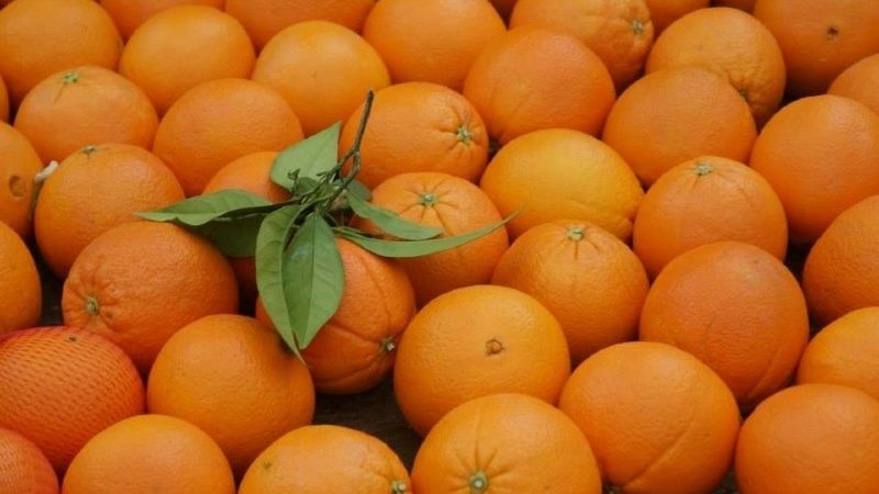 Naranjas, mandarinas y alcachofas multiplican su precio por hasta ocho del campo a la mesa en la crisis del Covid-19