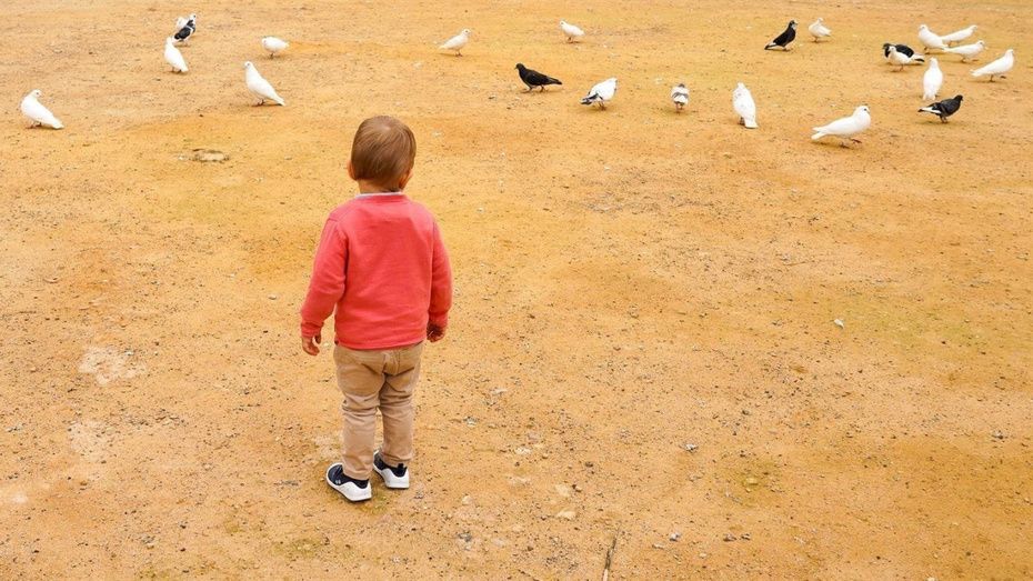 La alcaldesa de Almonte recuerda que solo los niños pueden pasear por la playa de Matalascañas