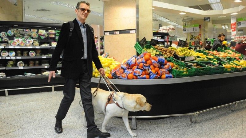 Los perros guía permiten a 12 personas ciegas de Huelva seguir siendo autónomas