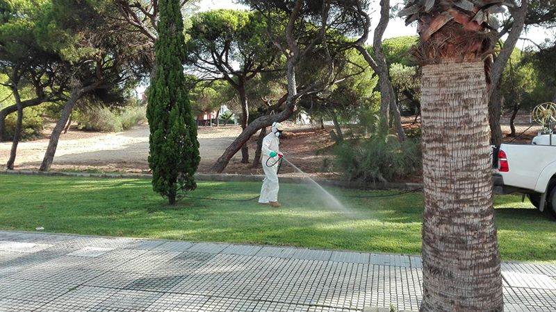 Punta Umbría suma un dron a su campaña antimosquitos