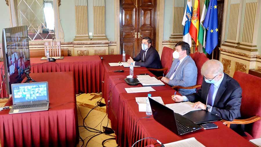 El Pleno de la capital reclama que los gobiernos locales gestionen el 15% de fondos europeos y estatales de la etapa post-Covid