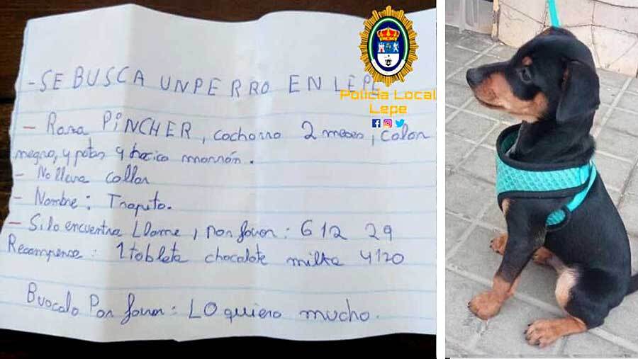 El runrún: La dulce recompensa que ofrece un niño por su perro