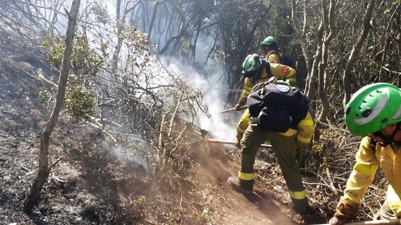 Extinguido el incendio forestal declarado en Aracena