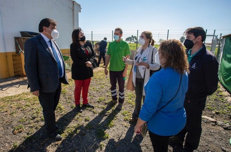 Un total de 20 perros, 12 gatos, dos caballos y un burro en el Centro Municipal de Acogida de Animales de Huelva